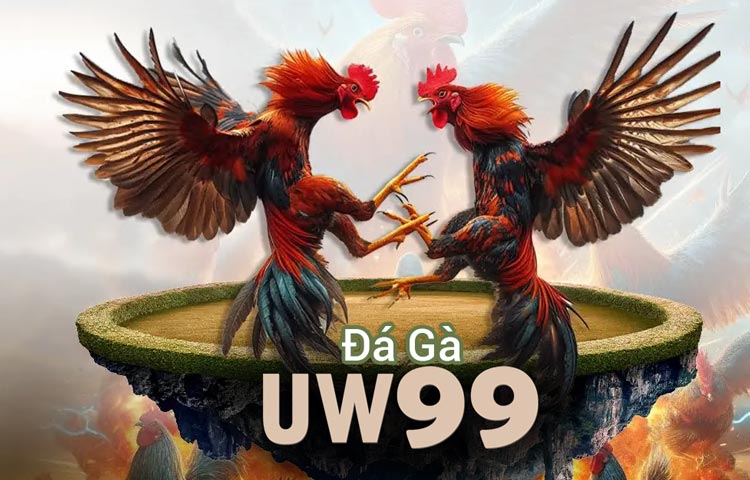 cược đá gà uw99